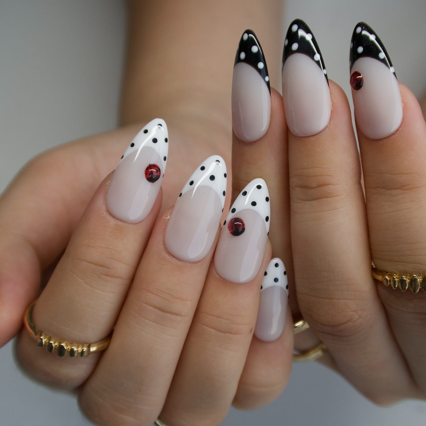 Ladybug